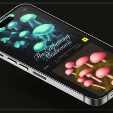 Enchanting Mushrooms Vol 02 - Nomad Visuals 16.jpg