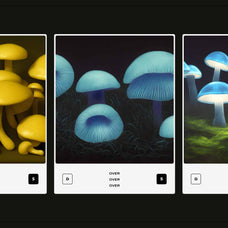 Enchanting Mushrooms Vol 02 - Nomad Visuals 18.jpg