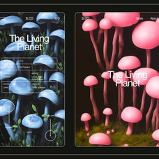 Enchanting Mushrooms Vol 02 - Nomad Visuals 1.jpg
