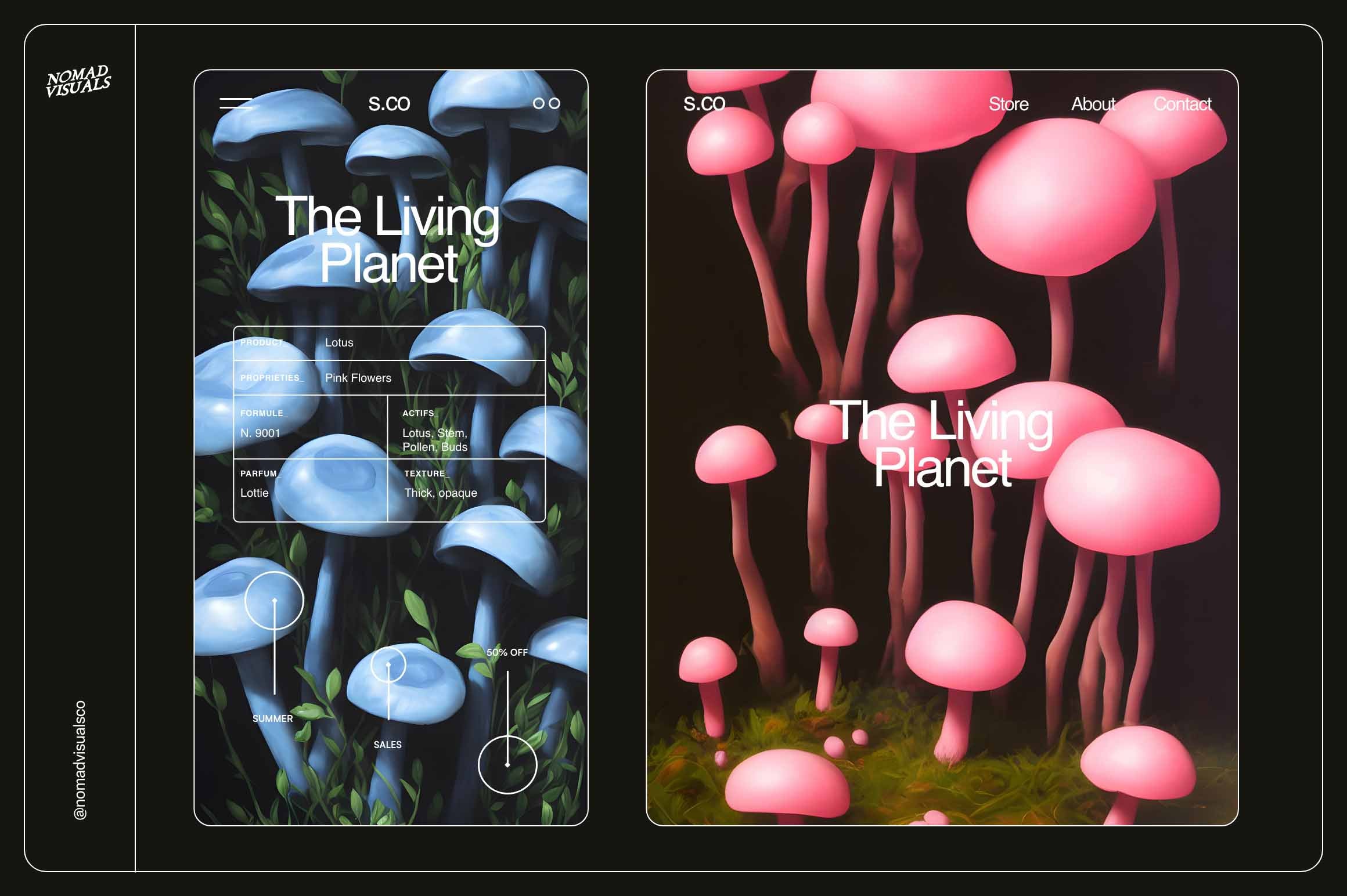 Enchanting Mushrooms Vol 02 - Nomad Visuals 1.jpg