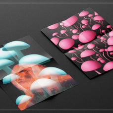 Enchanting Mushrooms Vol 02 - Nomad Visuals 6.jpg