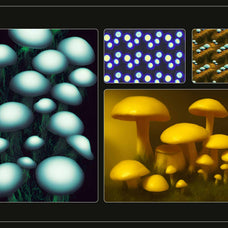Enchanting Mushrooms Vol 02 - Nomad Visuals 8.jpg