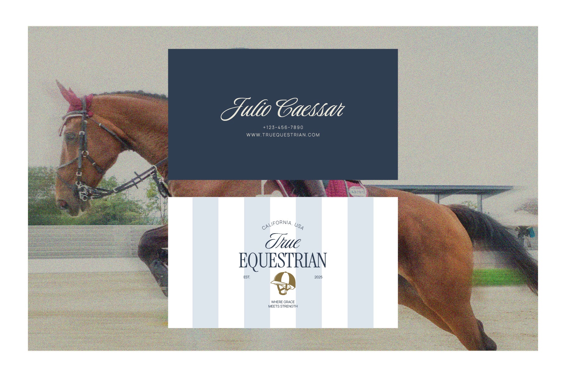 Equestrian Heritage Graphic Pack - Unknown Creator 8.jpg