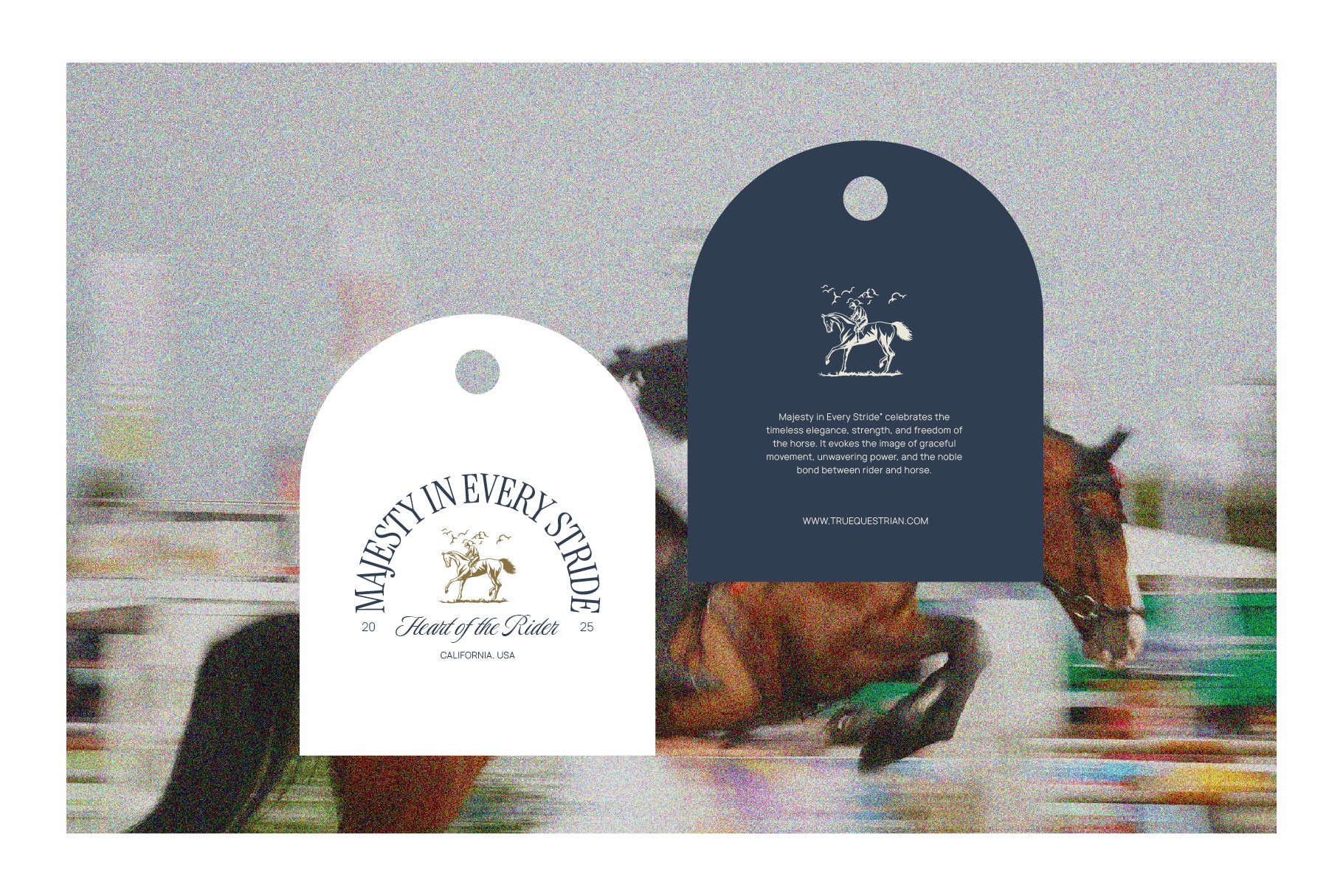 Equestrian Heritage Graphic Pack - Unknown Creator 9.jpg