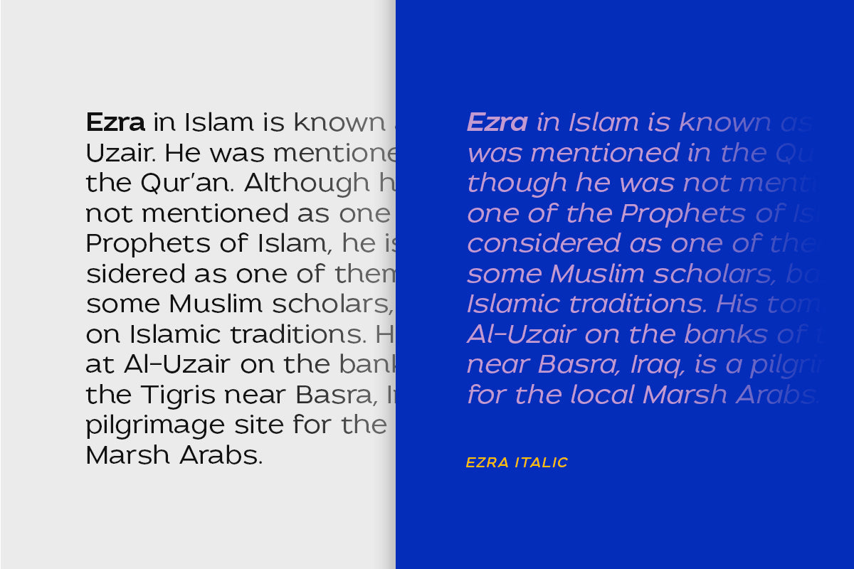 Ezra - Modern Sans (50% OFF) - Sarid Ezra 2.jpg
