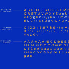 Ezra - Modern Sans (50% OFF) - Sarid Ezra 9.jpg