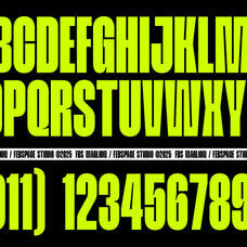 FBS Maglion - Febspace Studio 3.png