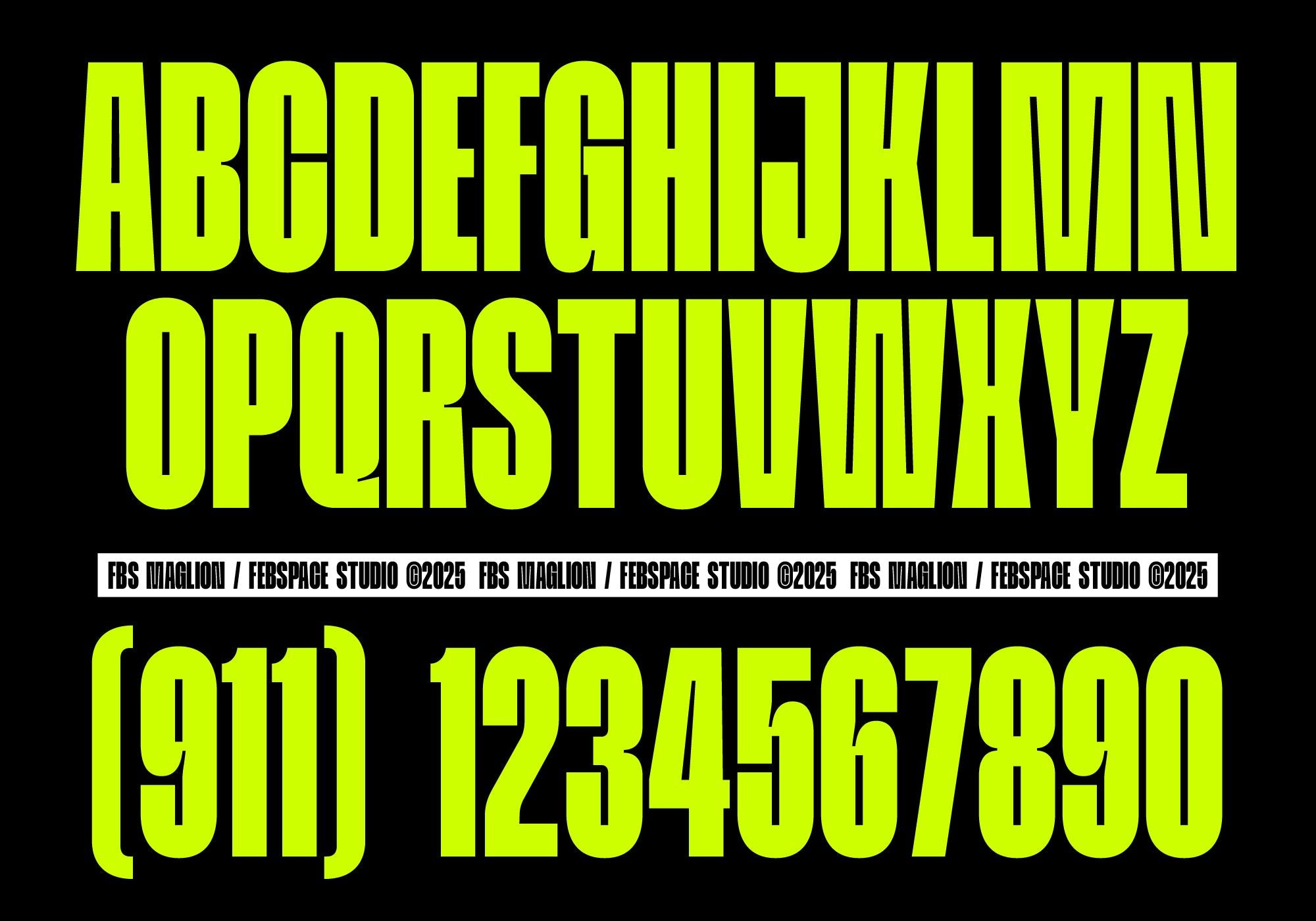 FBS Maglion - Febspace Studio 3.png