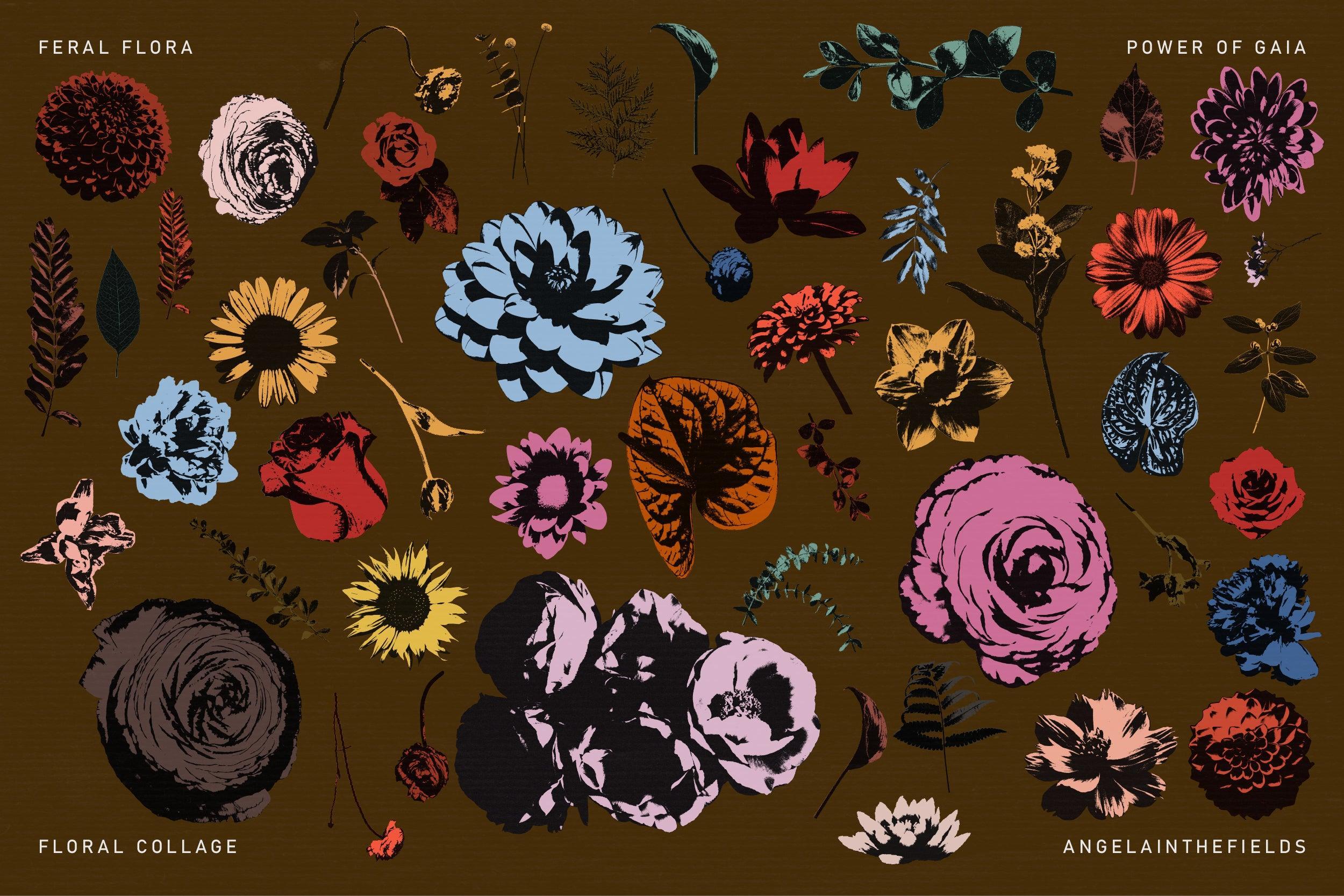 FERAL FLORA Collage Elements - angelainthefields 10.jpg
