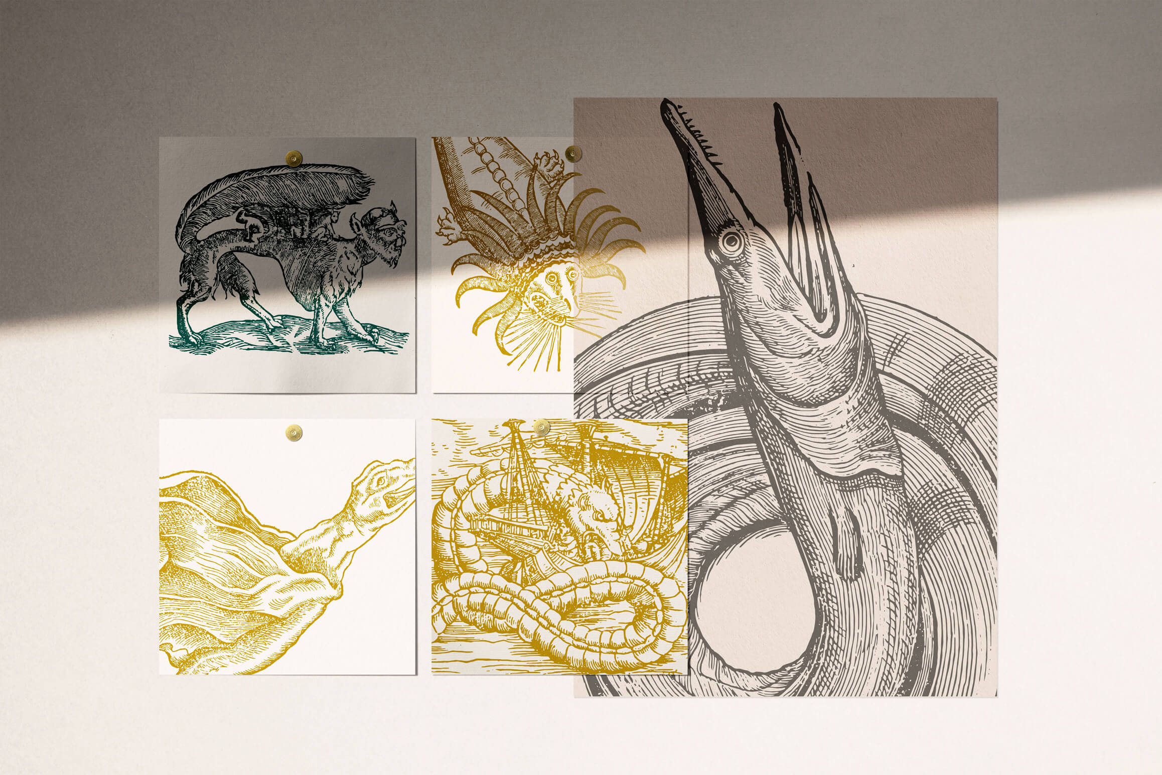 Fantastic Beasts - Nomad Visuals 1.jpg