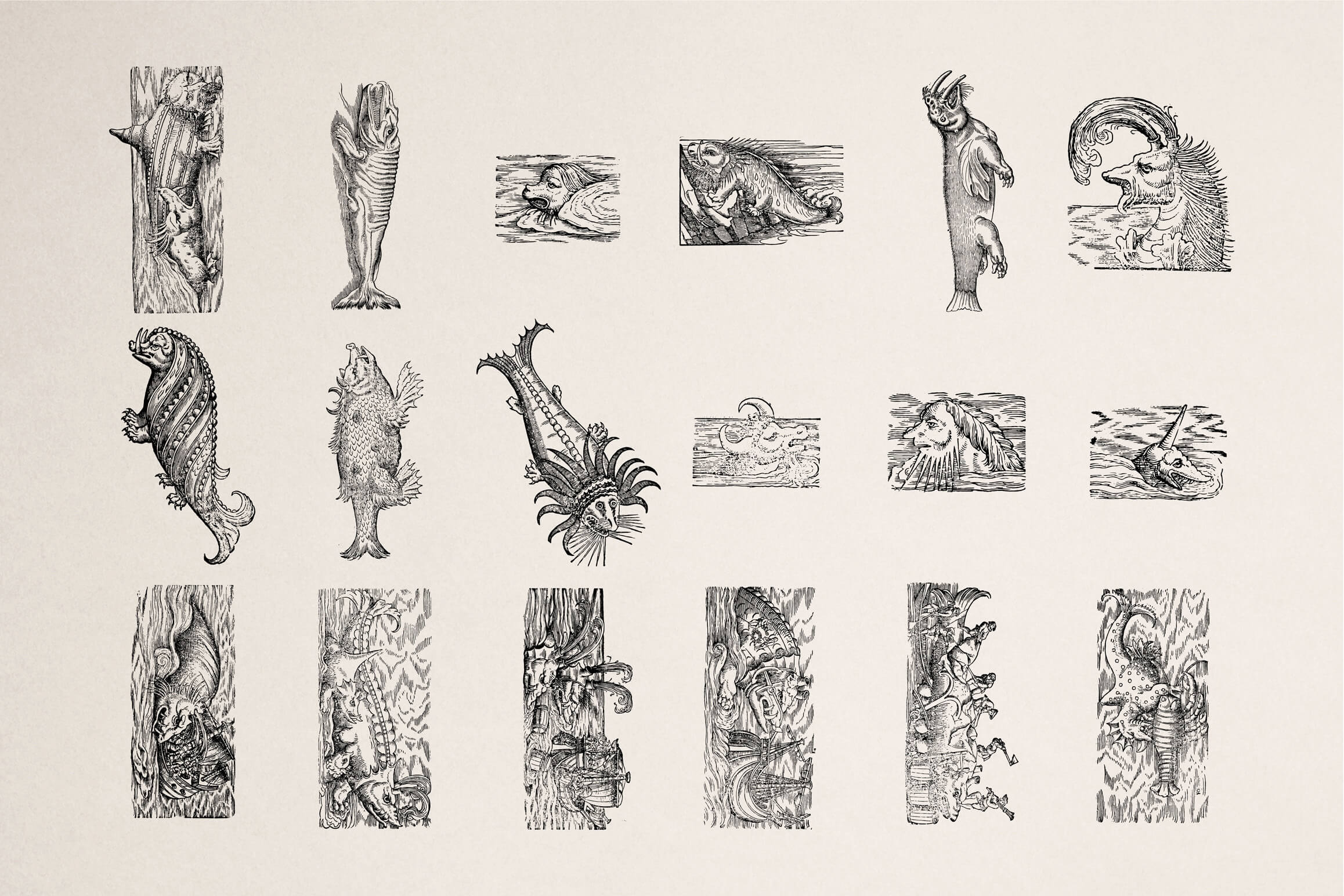 Fantastic Beasts - Nomad Visuals 3.jpg