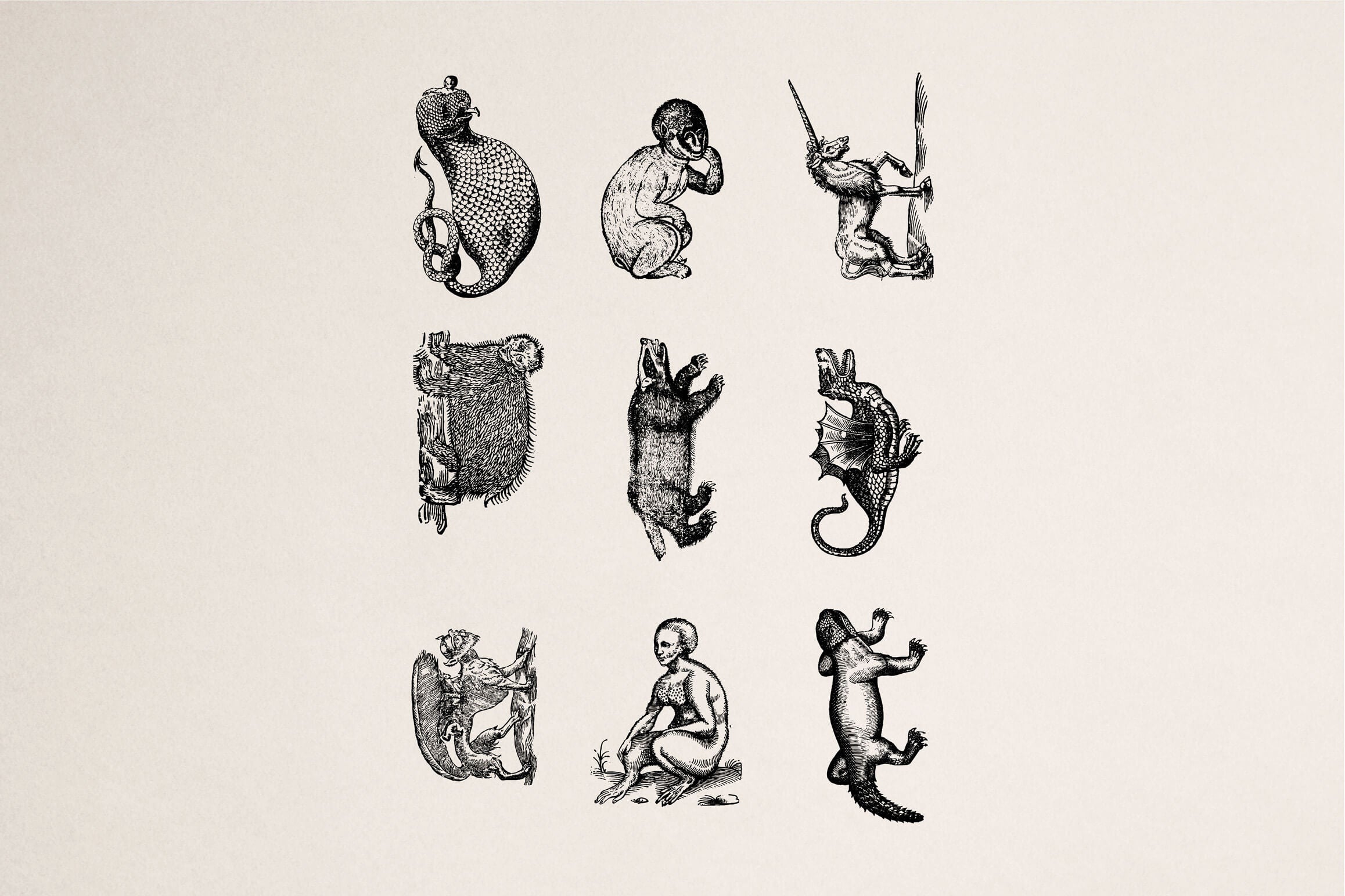 Fantastic Beasts - Nomad Visuals 4.jpg