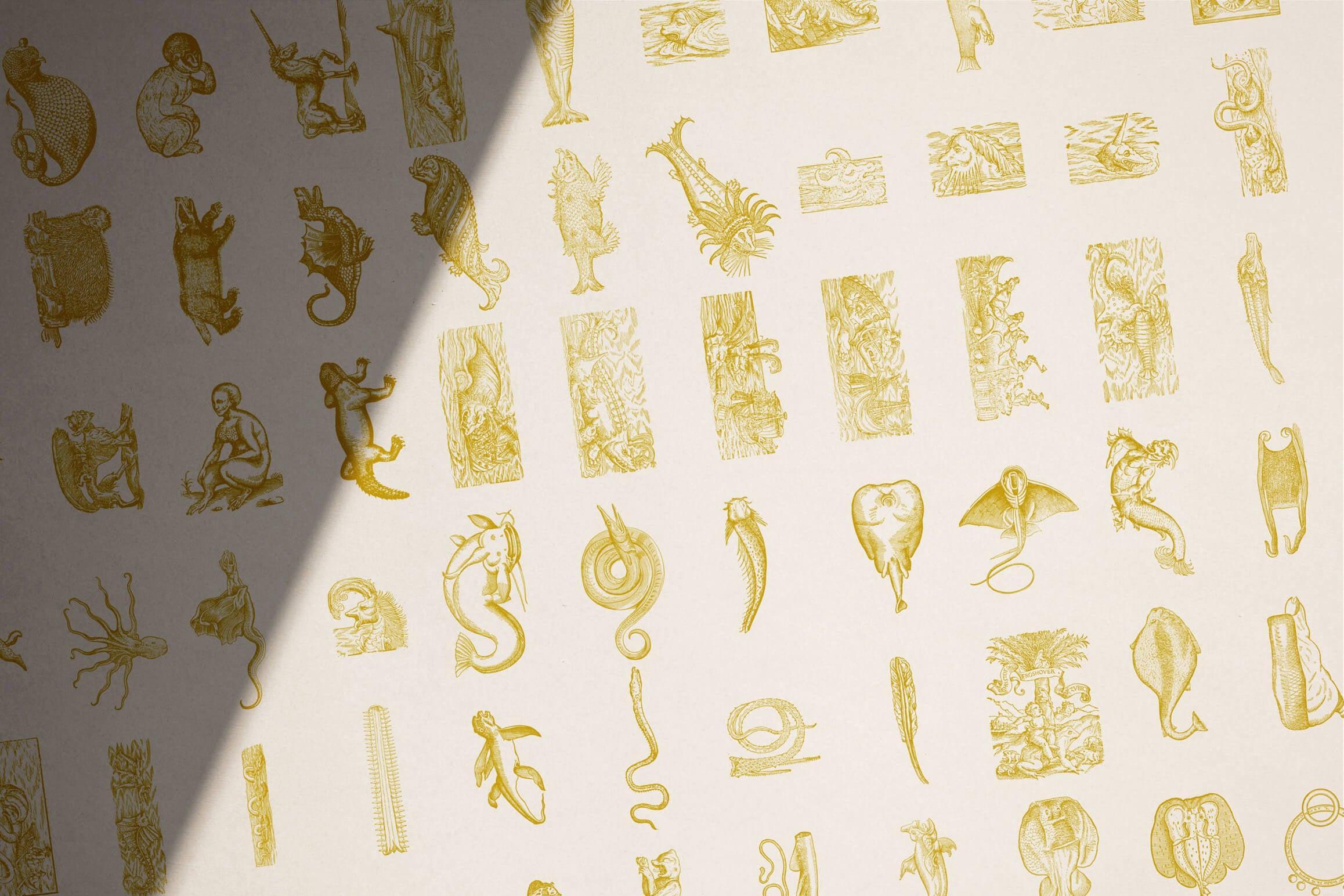 Fantastic Beasts - Nomad Visuals 7.jpg