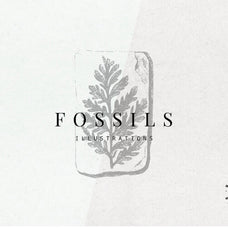 Fossils Illustrations - Nomad Visuals 1.jpg