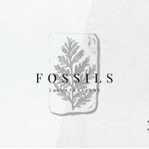 Fossils Illustrations