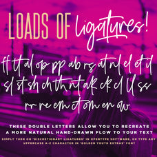 Golden Youth Font Duo - Set Sail Studios 1.jpg