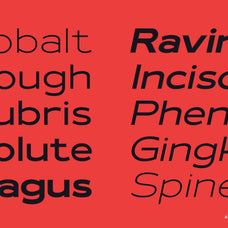 HN Revline - Hora Nocte Type Foundry 8.png