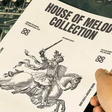 HOM Poster 16 Mockup - Mockup Flock 1.jpg