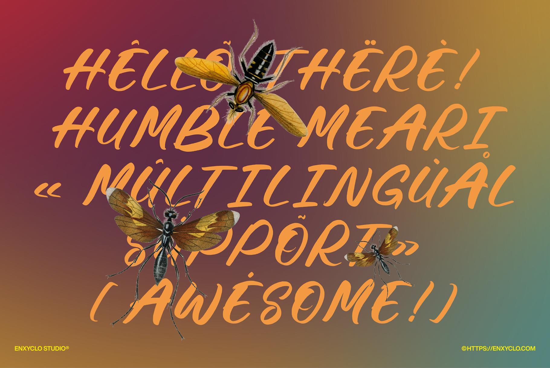 HUMBLE MEARI - Enxyclo Studio 1.png