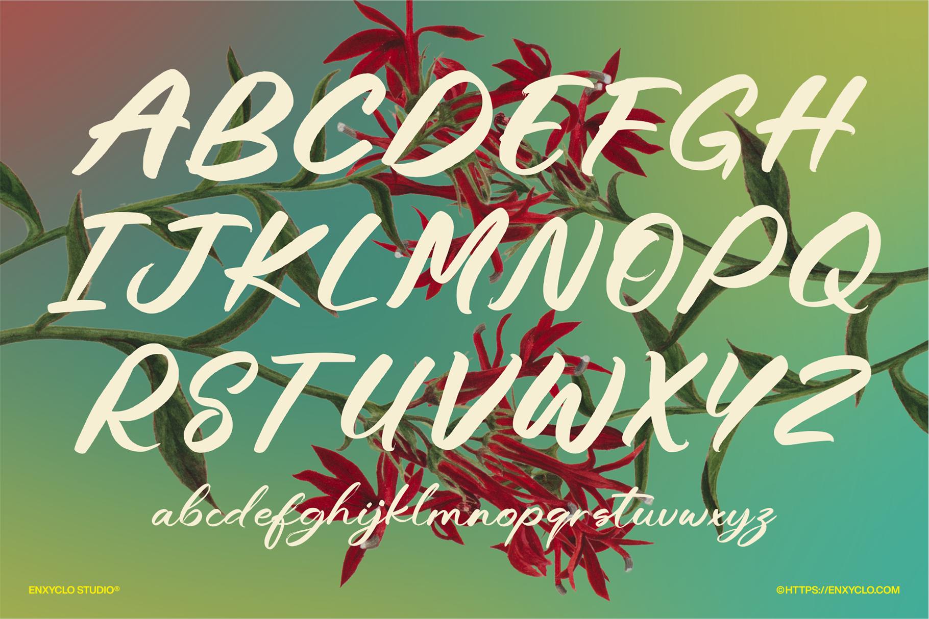 HUMBLE MEARI - Enxyclo Studio 1.png