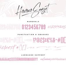 Havana Sunset Font Duo + SVG - Set Sail Studios 1.jpg