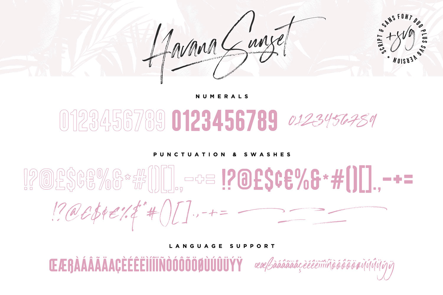 Havana Sunset Font Duo + SVG - Set Sail Studios 1.jpg