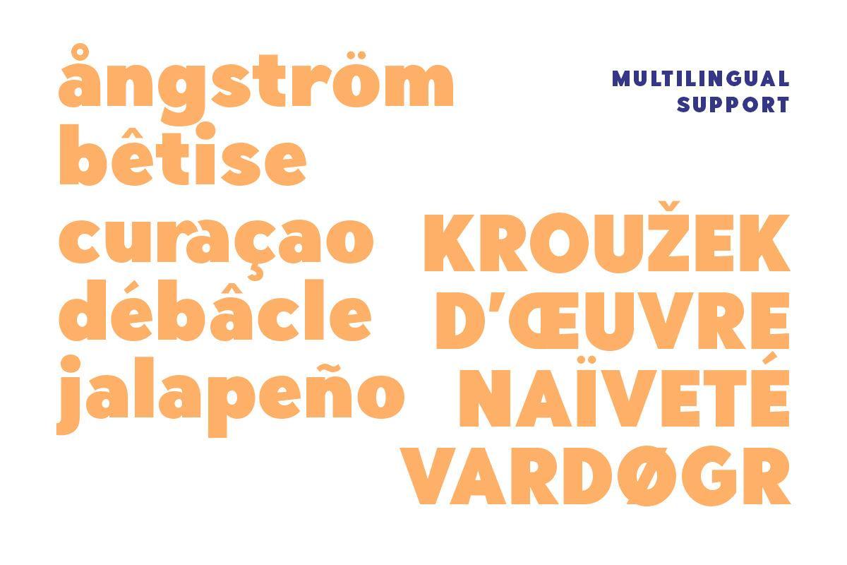 Hillray - Stylish Bold Sans - Sarid Ezra 1.jpg