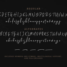Hughson Script (8 Fonts) - Sarid Ezra 8.jpg
