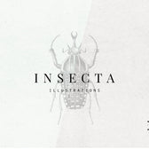 Insects Illustrations