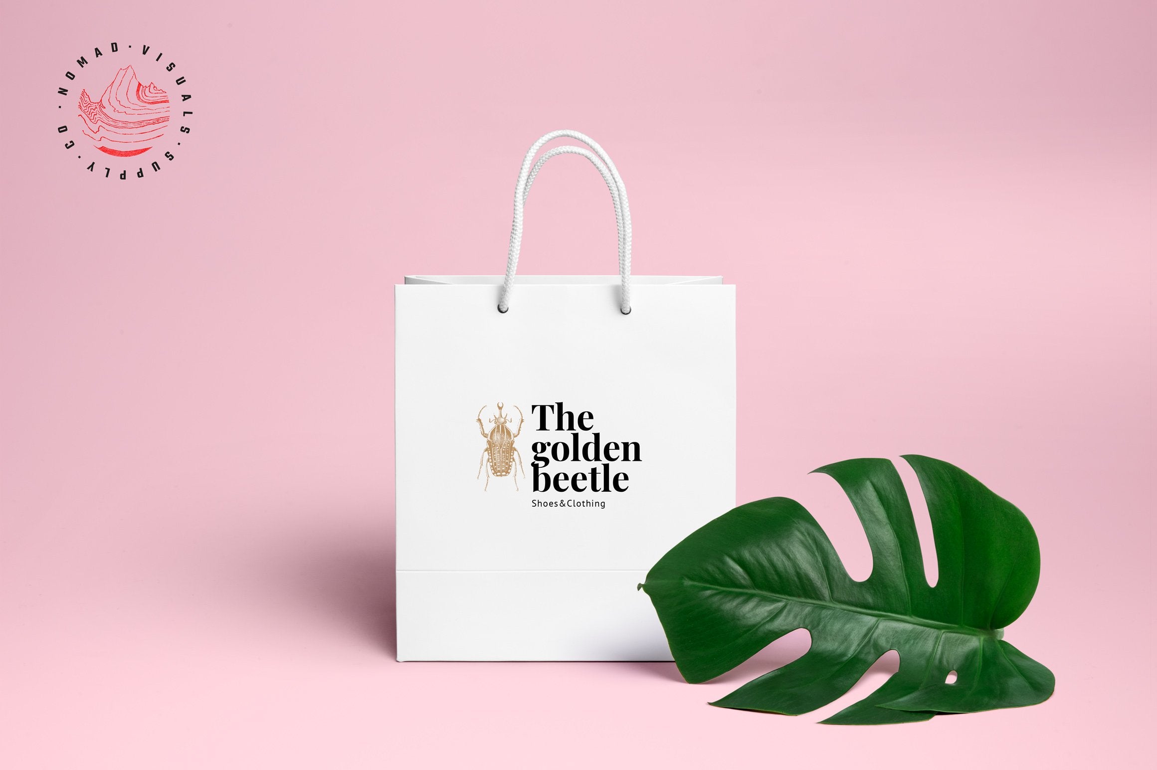 Insects Illustrations - Nomad Visuals 3.jpg