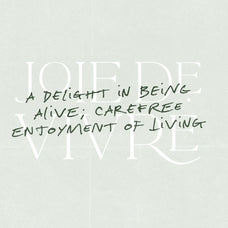 La Belle Epoque Handwritten Font - Set Sail Studios 1.jpg