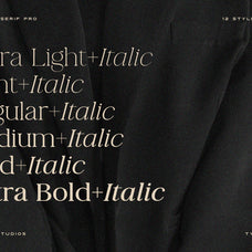 La Luxes Serif Pro 12 Font Family - Set Sail Studios 1.jpg