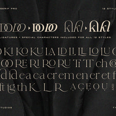 La Luxes Serif Pro 12 Font Family - Set Sail Studios 1.jpg