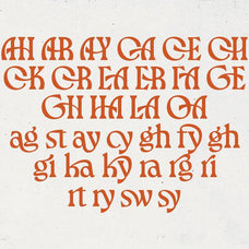 Larchen - Ligature Bold Serif - Sarid Ezra 9.jpg
