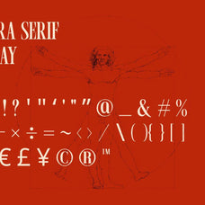 Lavara - Refined Serif Display Font - Afterimagine 5.jpg