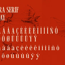 Lavara - Refined Serif Display Font - Afterimagine 6.jpg