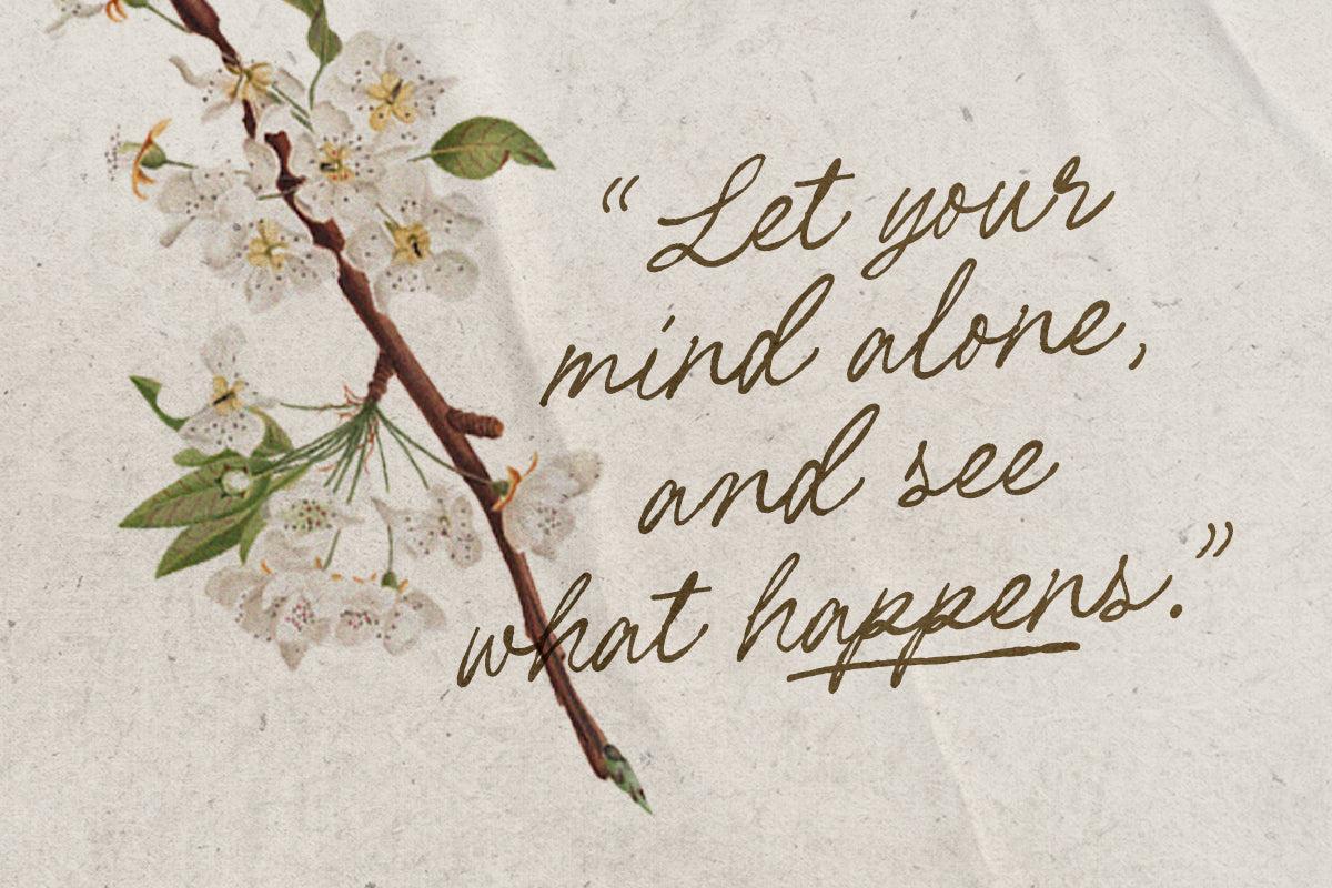 Les Palmiers - Handwritten Script - Sarid Ezra 4.jpg