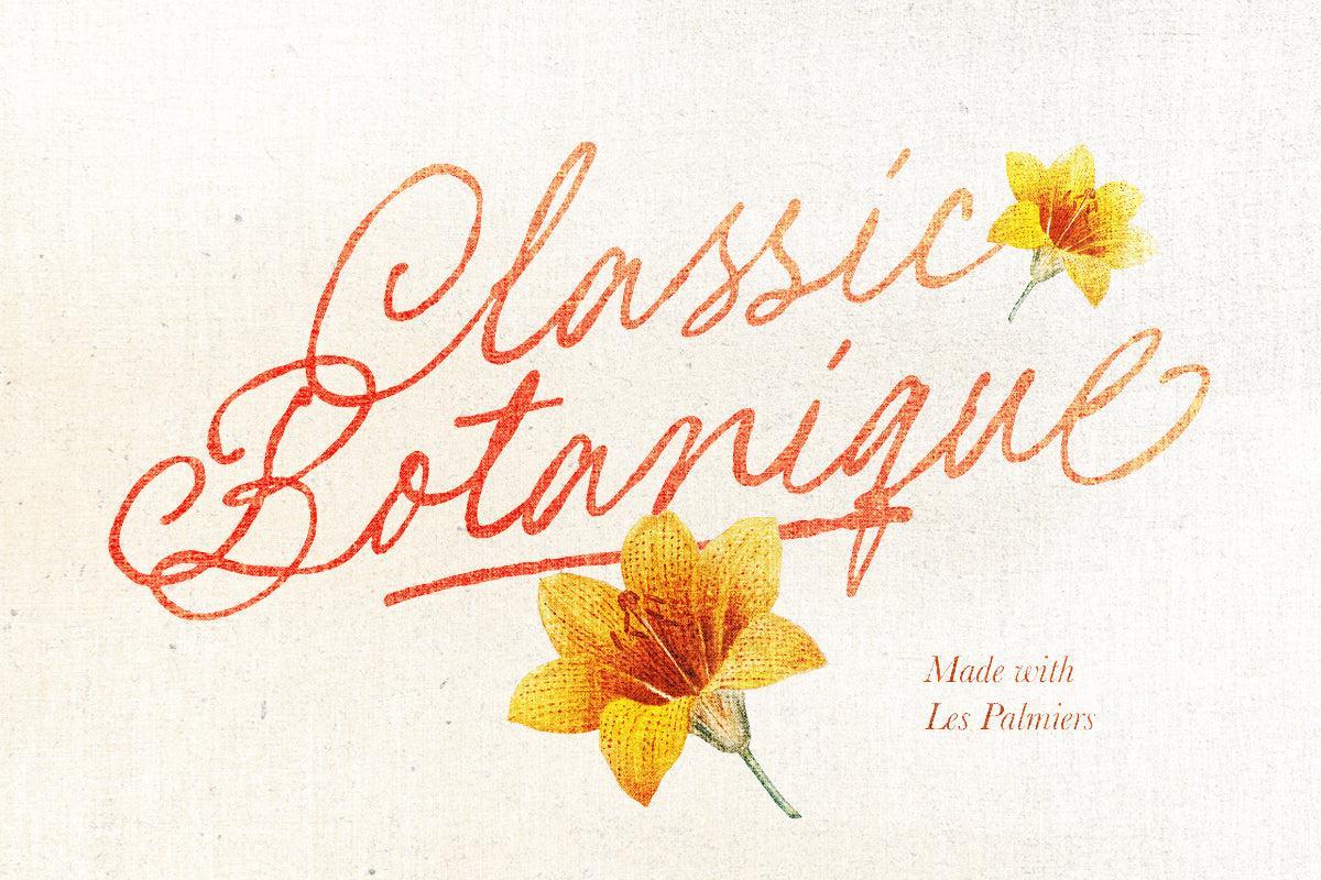 Les Palmiers - Handwritten Script - Sarid Ezra 7.jpg