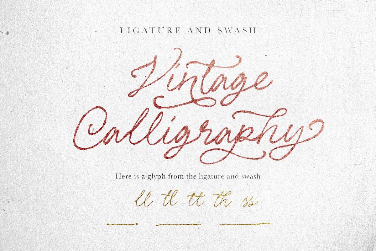 Les Palmiers - Handwritten Script - Sarid Ezra 9.jpg