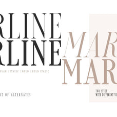 Loverica - Modern Condensed Serif - Sarid Ezra 1.jpg