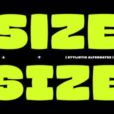 MONZO Display Font - Panatype™ Studio 3.jpg