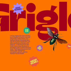 Mackyn - Modern Bold Font - Enxyclo Studio 1.png