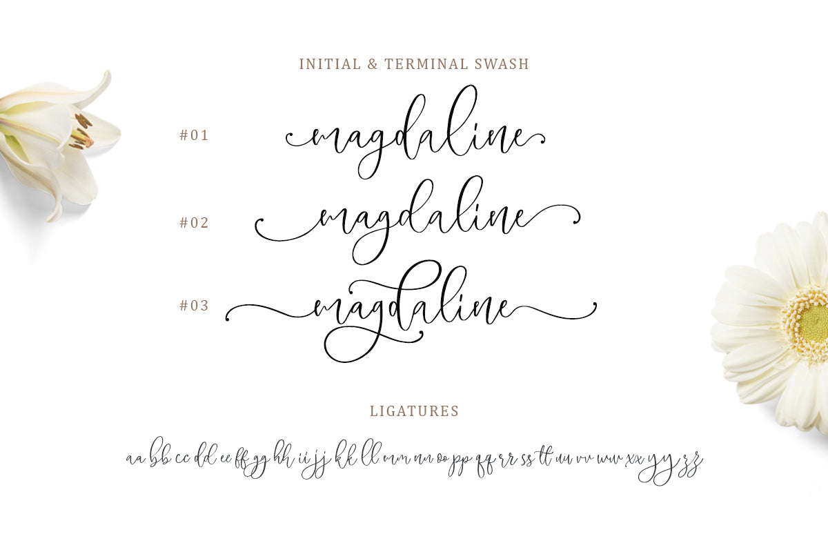 Magdaline - Lovely Script - Sarid Ezra 10.jpg
