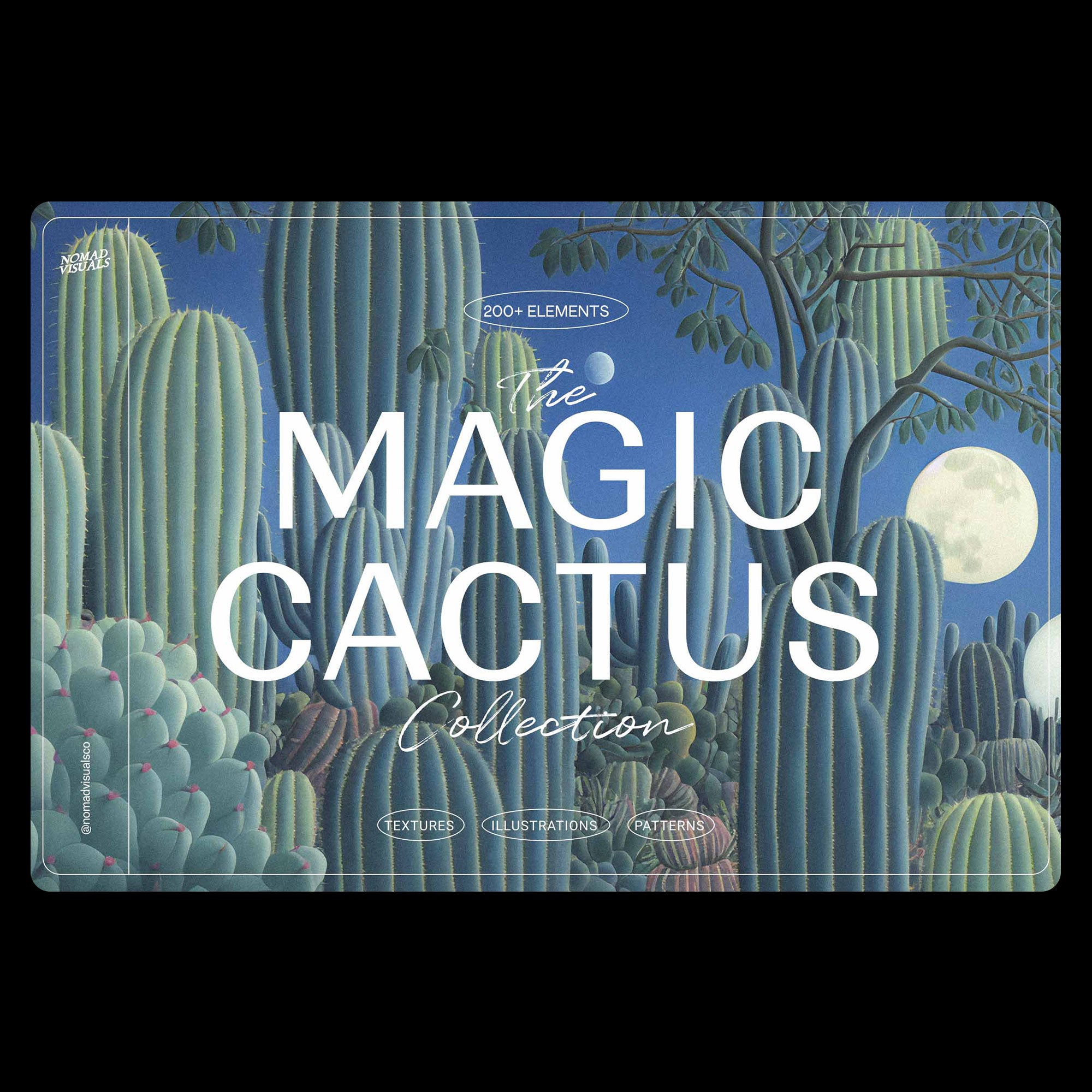 Magic Cactus - Nomad Visuals 1.jpg