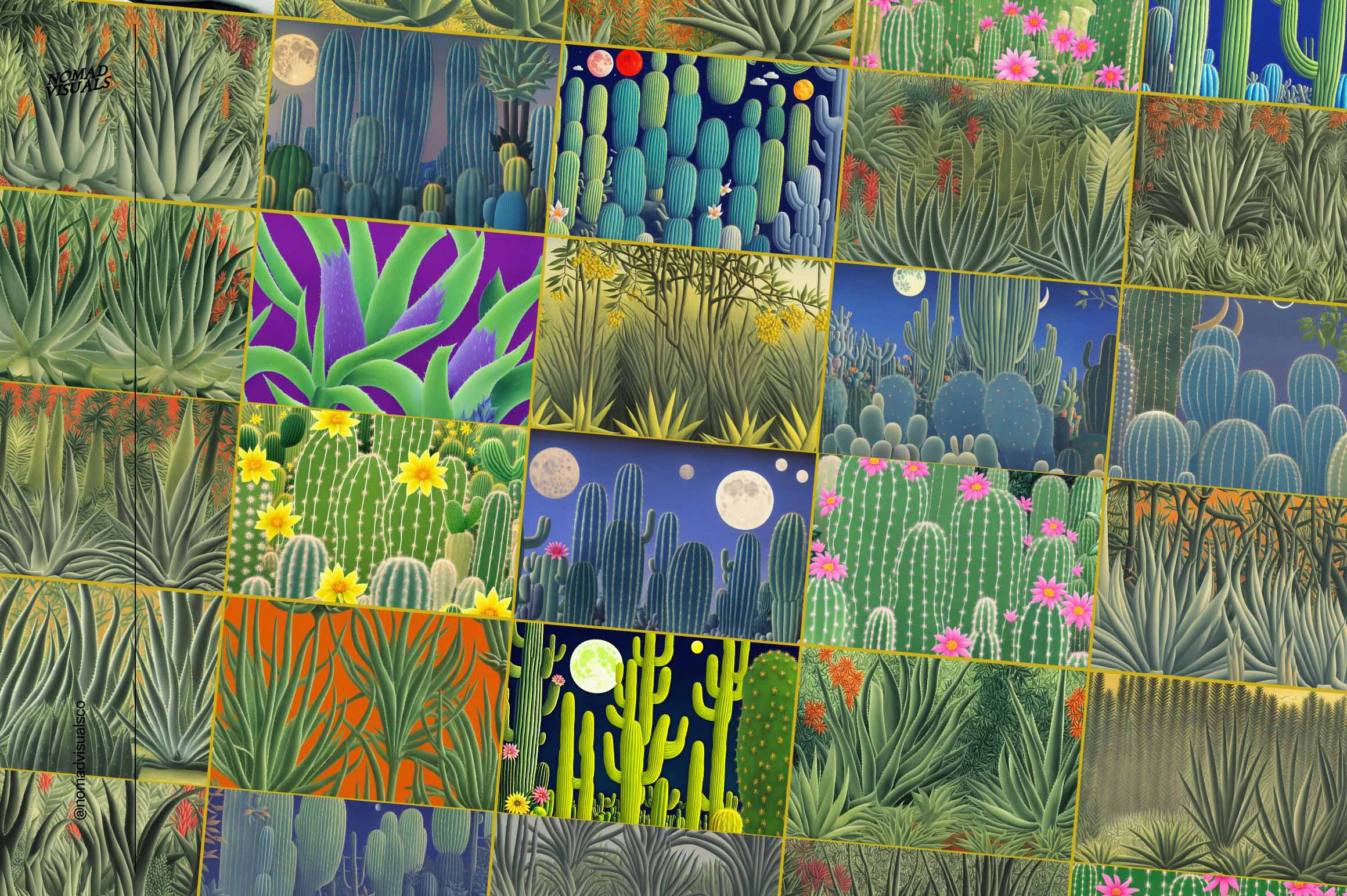 Magic Cactus - Nomad Visuals 11.jpg