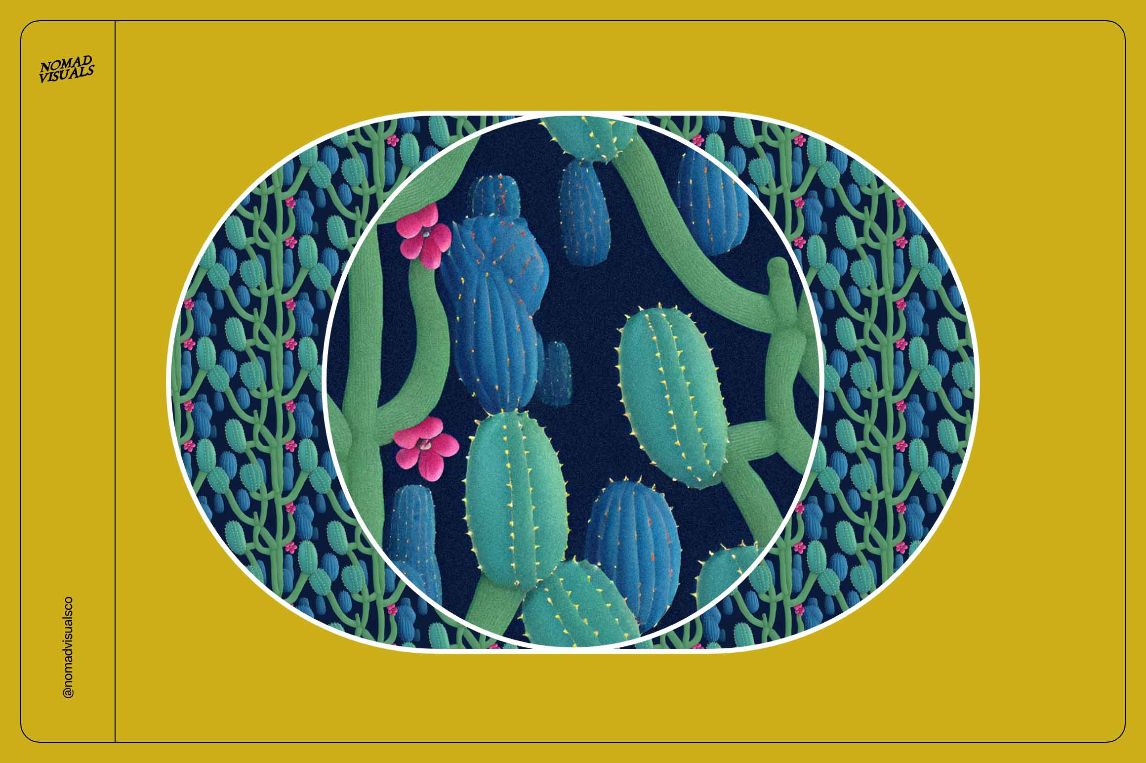 Magic Cactus - Nomad Visuals 13.jpg