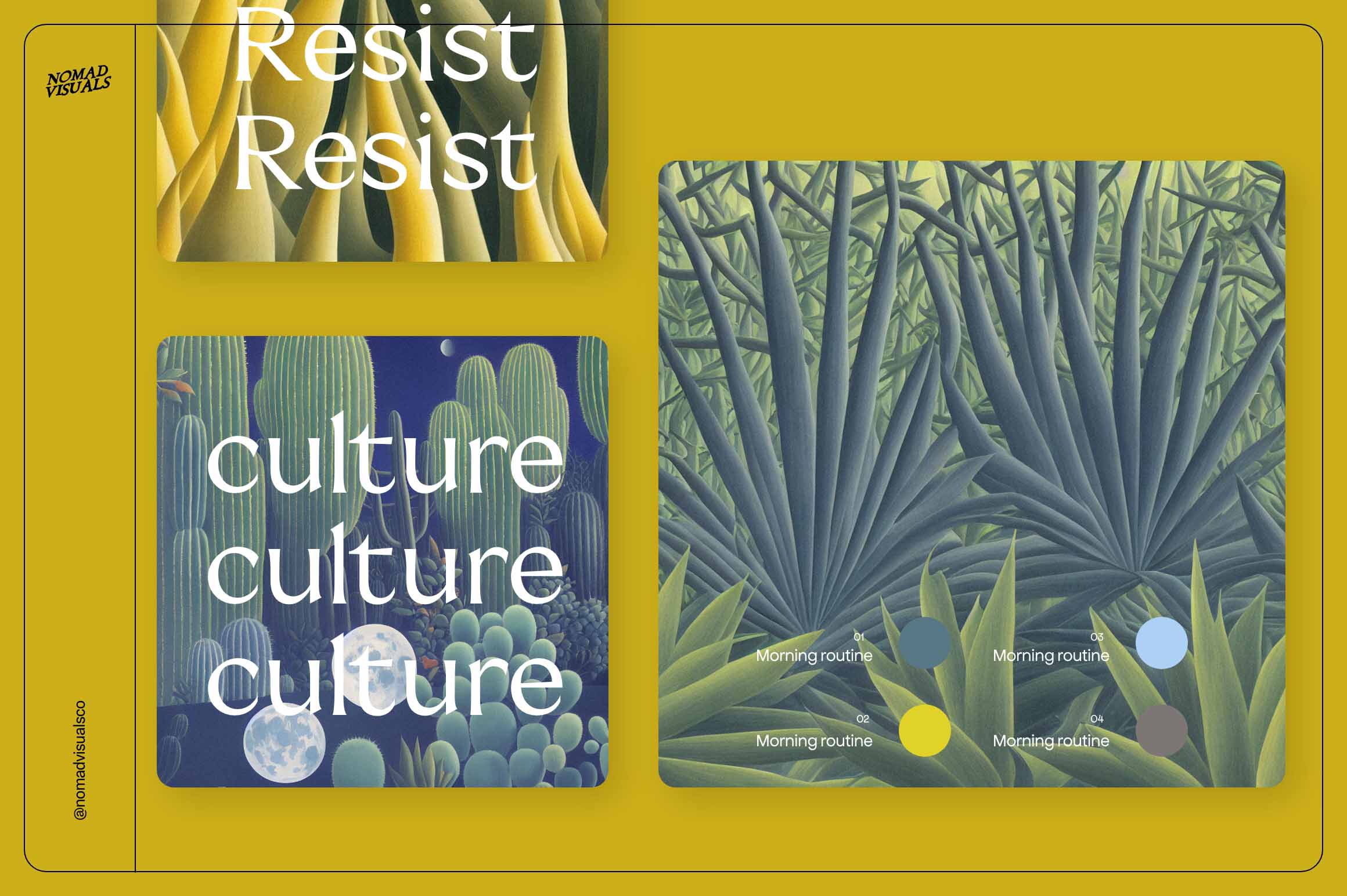 Magic Cactus - Nomad Visuals 14.jpg