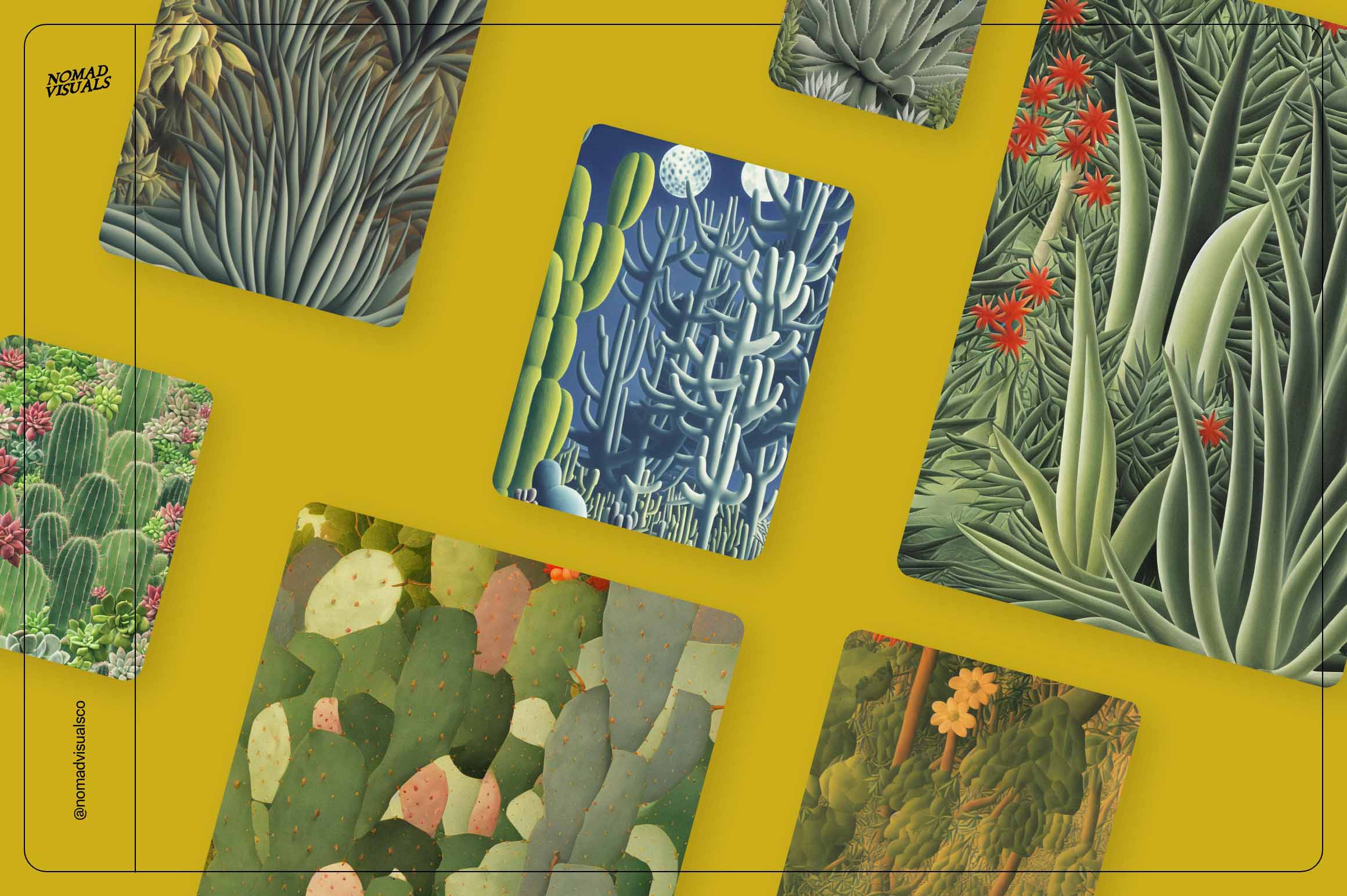 Magic Cactus - Nomad Visuals 16.jpg