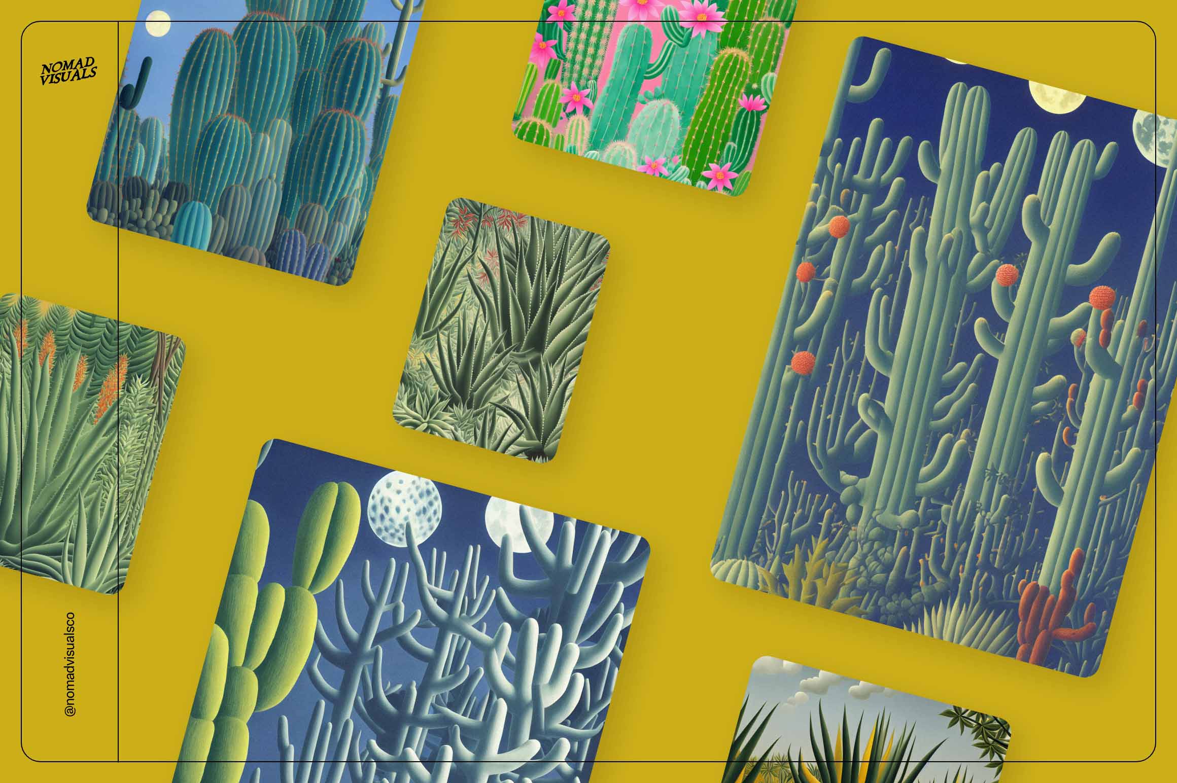 Magic Cactus - Nomad Visuals 17.jpg