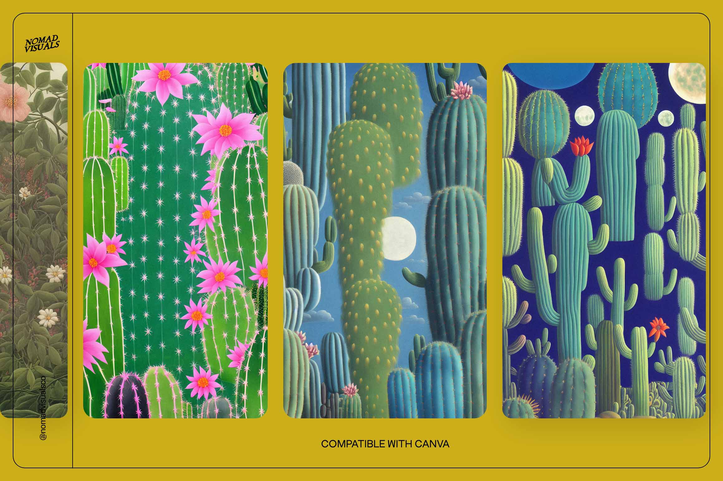 Magic Cactus - Nomad Visuals 19.jpg